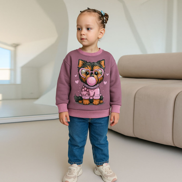 Світшот для дівчинки "Yorkie" 4131 (двунитка)