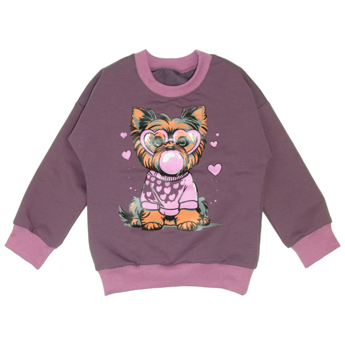 Світшот для дівчинки "Yorkie" 4131 (двунитка)