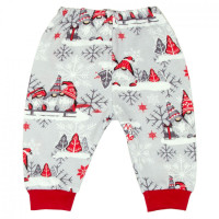 Брюки ясельные 3147 (начес)