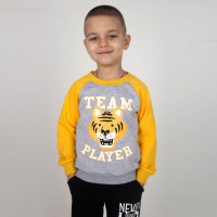 Свитшот 5100-3 (двунитка)