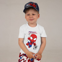 Футболка Спайдер 3137-10 (кулір)