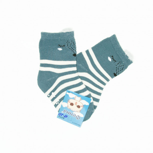 Шкарпетки для хлопчиків, махра Фенна С017-4 Фото 1